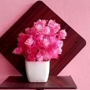 Combo Of 8 Wooden Stand For Home Decor