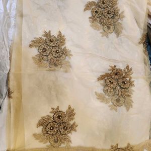 Beautiful Golden Dupatta!!