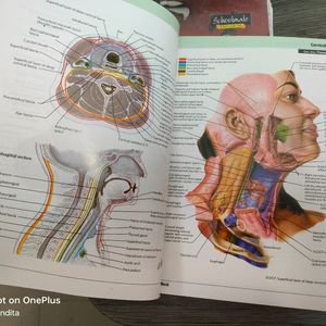 Anatomy- Atlas Of Human Anatomy