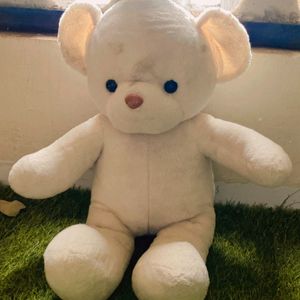 Taddy Bear Soft Toy