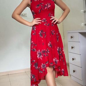 Red Floral Print Dress