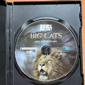 Original Animal Planet Big Cats DVD