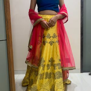 Lehenga Crop top