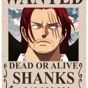 Pack Of 20 Wanted One Piece Anime Poster