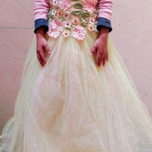 Beautiful Colorful Gown For Girls