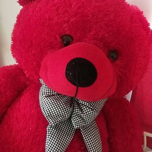 Red Teddy