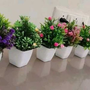 Trending Artificial Plants