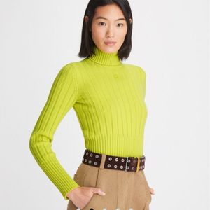 Imported Ribbed Knit Turtle Neck Sweater