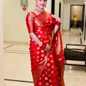 Organza Saree