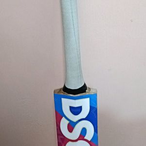 DSC ENGLISH Willow Bat Already Knocked