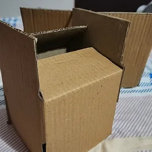 Carton Boxes(packing)