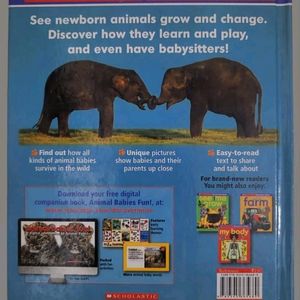 Animal Babies (Scholastic Discover More) Hardcover