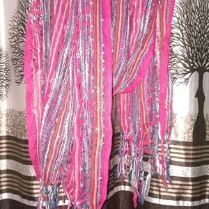 Multicolour Scarf Or Stole