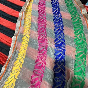 Multicolour Chunni/Dupatta