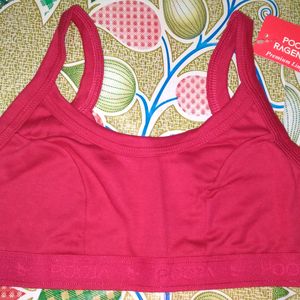 Branded Sports Cotton Bra