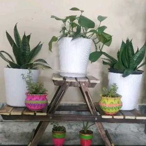 Wooden Plant Holder Stand