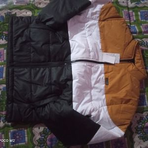 Winter Jackets For Men