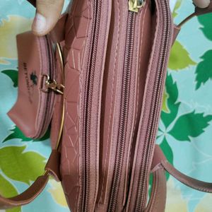 Trendy Slingbag With Mini Purse Free