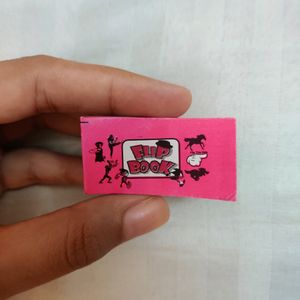 Mini Flip Book