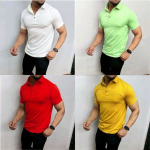 Basic Polo Collar Tshirt- Four Piece Combo