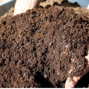 Cow Dung Fertilizer 1.5kg