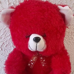 Red Teddy