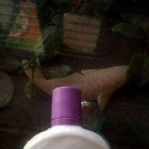 Lacto Calamine Face Lotion