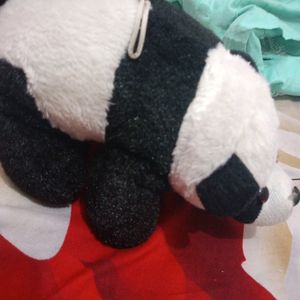 Cute Panda Softoy