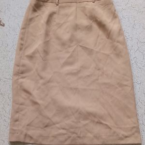 Brown High Waist Skirt