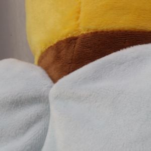 Winnie the Pooh Plushie