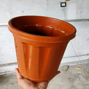 Flower Pot