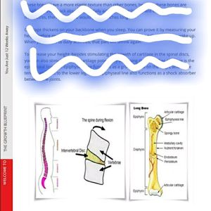 E-Book 5 Inch Height Gain Manual.