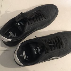 Puma Shoes