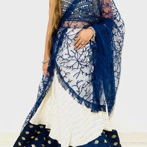 White Lehnga Choli