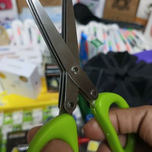 Stainless Steel vegetable Scissor