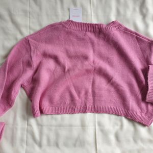 Magenta  Crop Top