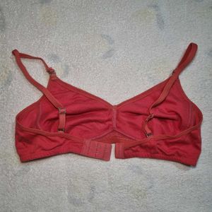 Rust Color Bra