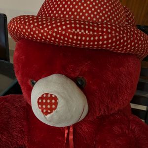 Red Big Teddy Bear