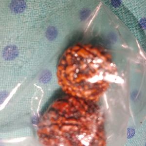 Two Original Rudraksha For Women And Men Both