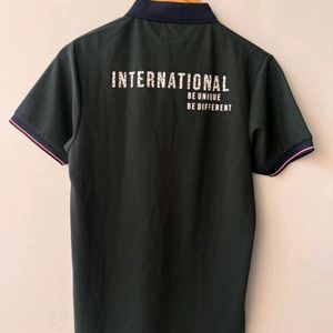 Polo BRANDED Tshirt