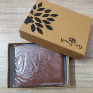 WOODLAND Men Brown Genuine Leather Wallet