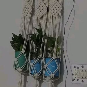 Plant Wall Hanging