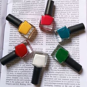 Pack Of 12 nail paint