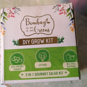 Salad Grow Kit