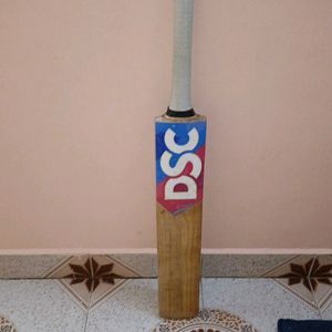 DSC ENGLISH Willow Bat Already Knocked