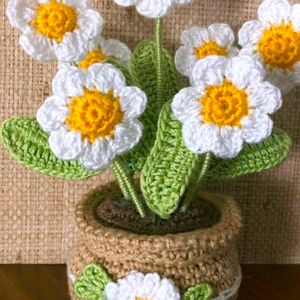 Crochet 6 Flower Pot