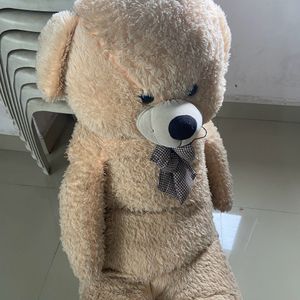 Giant Teddy