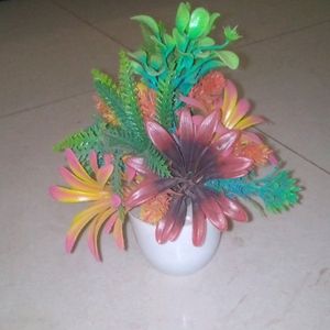 Home Decor Plant