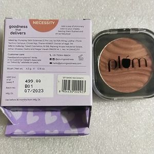 Plum Shimmer Blush-bare Necessity