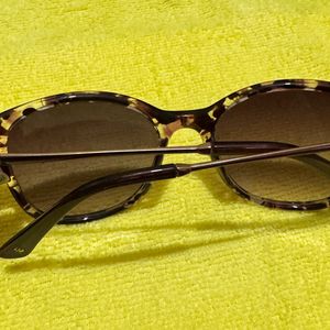 Original Enrico Women Sunglasses.